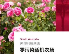 澳洲高端美妝品牌Jurlique茱莉蔻，成功入駐圣悅詩國際連鎖系統(tǒng)